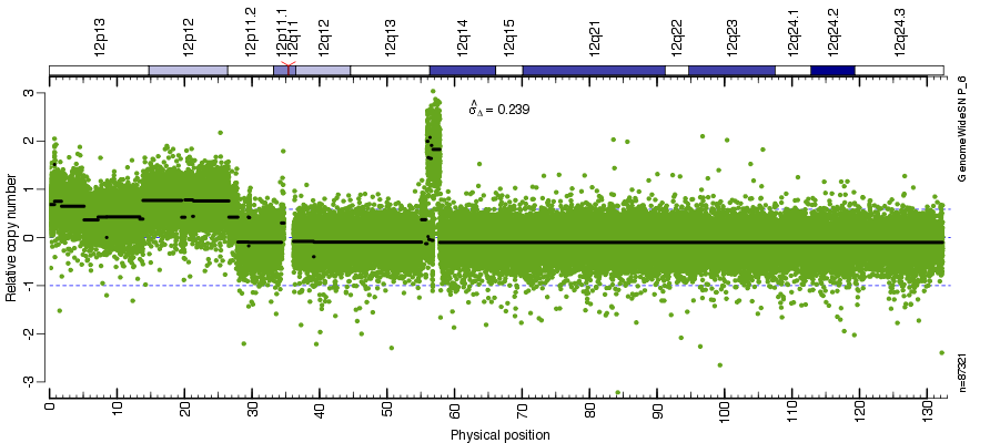 Chromosome Explorer results of total copy number analysis of a tumor/normal pair